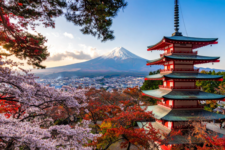 Japan Sensationeel (vertrek 21 november 2026)